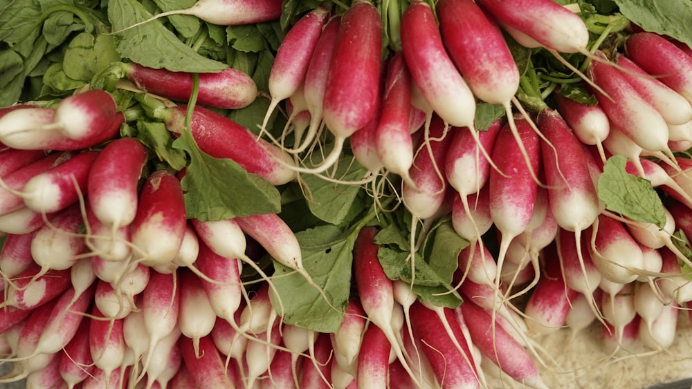 pink and green chili peppers