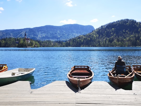 man and woman sitting on brown wooden boat on lake during daytime in Lake Bled Slovenia