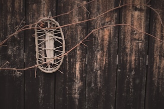 A rustic wooden background with a woven decorative item hanging on it, intertwined with bare, brown vines. The wood appears weathered and aged, giving the scene an antique look.