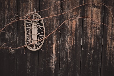 A rustic wooden background with a woven decorative item hanging on it, intertwined with bare, brown vines. The wood appears weathered and aged, giving the scene an antique look.