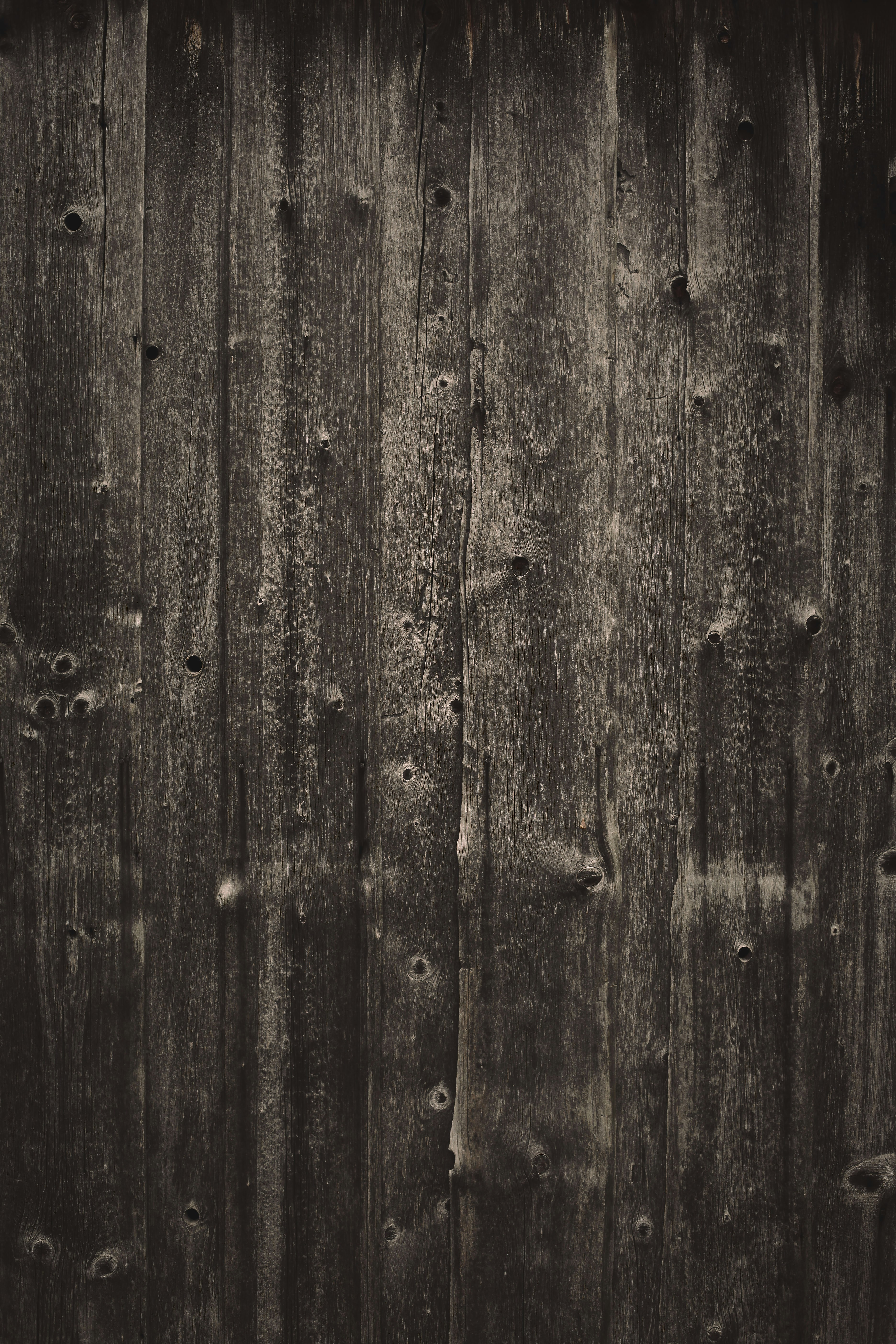 Photo by quadratmedia