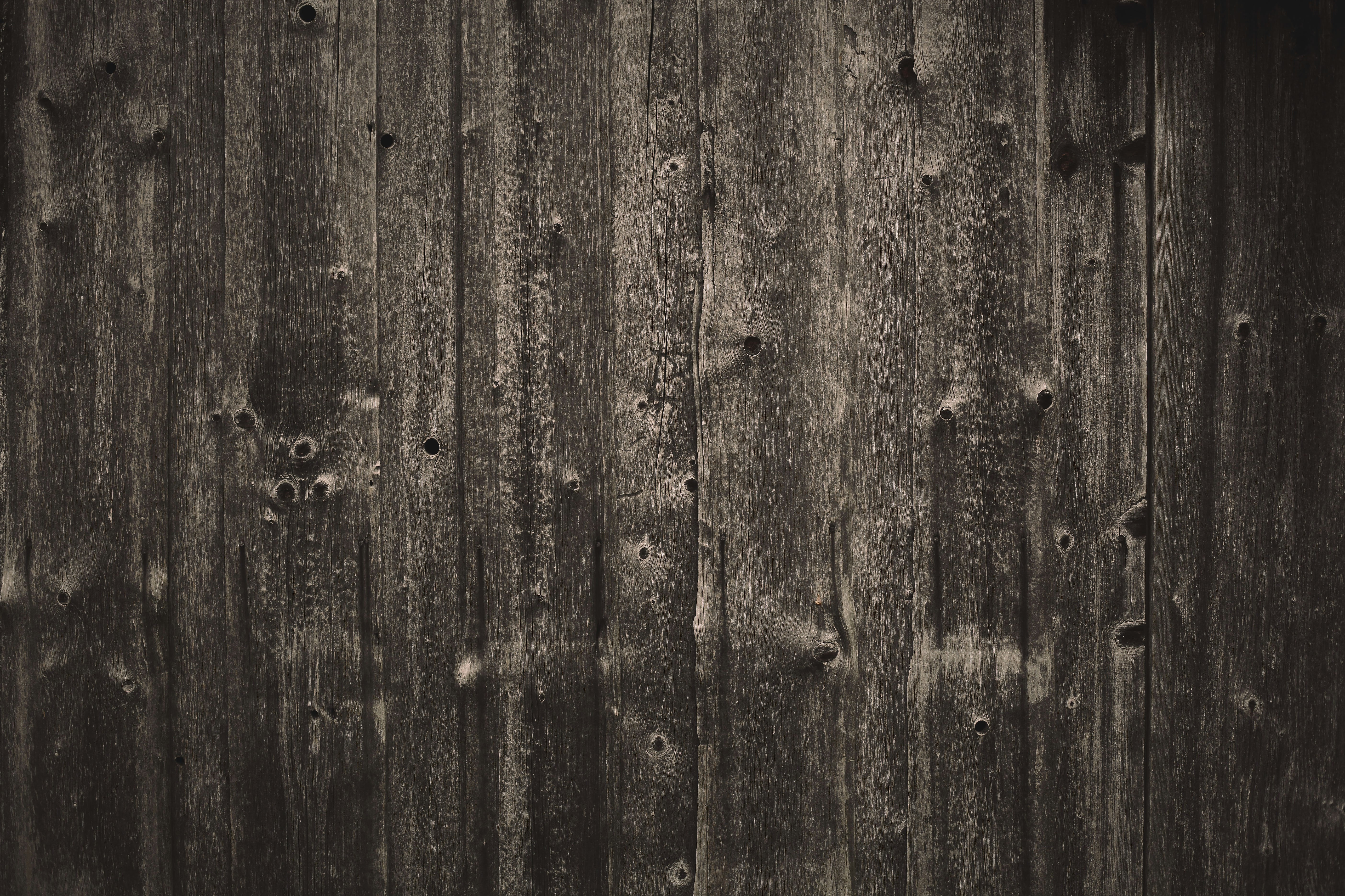 Photo by quadratmedia