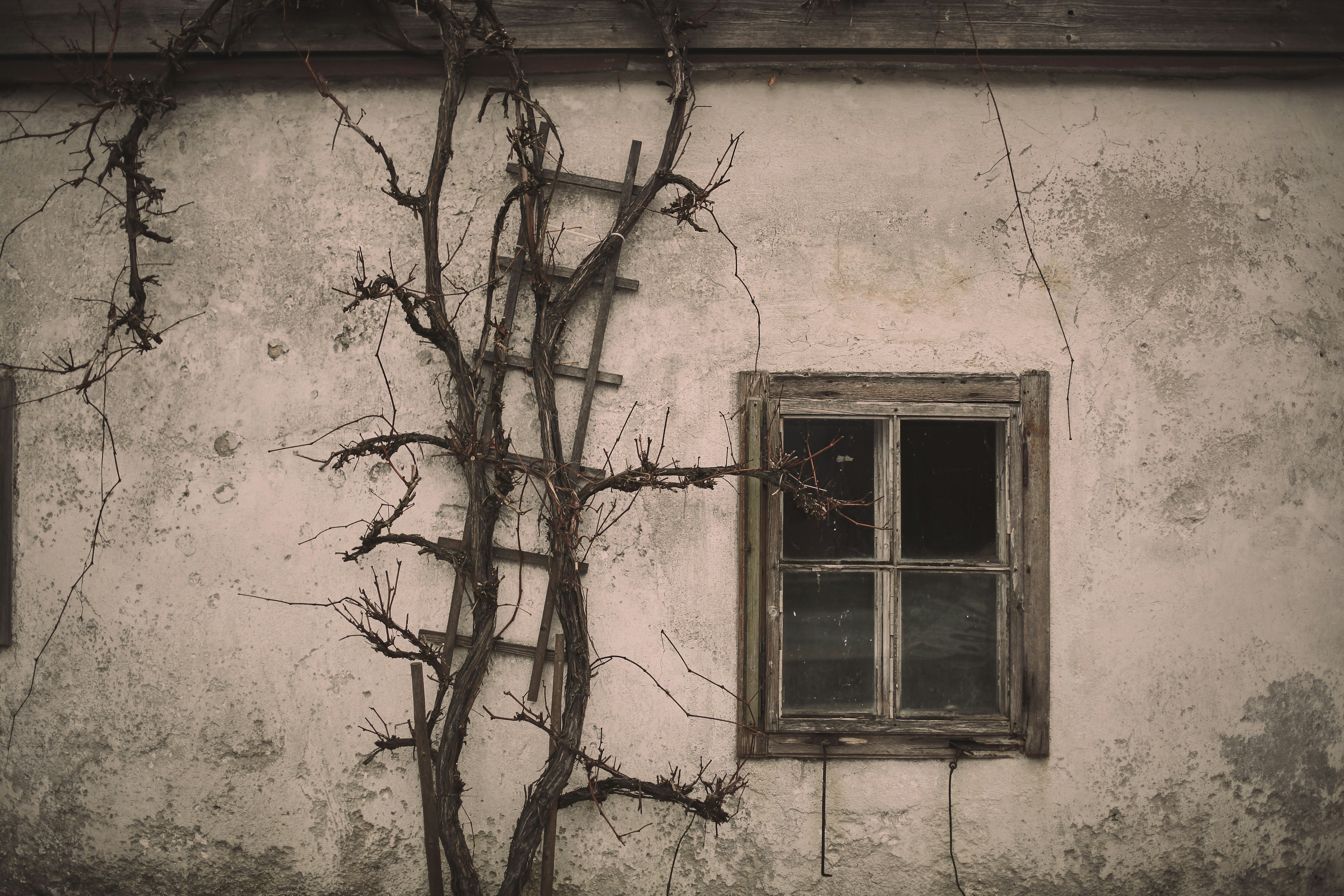 Photo by quadratmedia