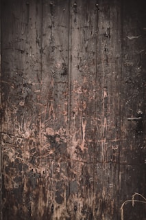 Close-up of textured details on an old weathered door, telling untold stories.