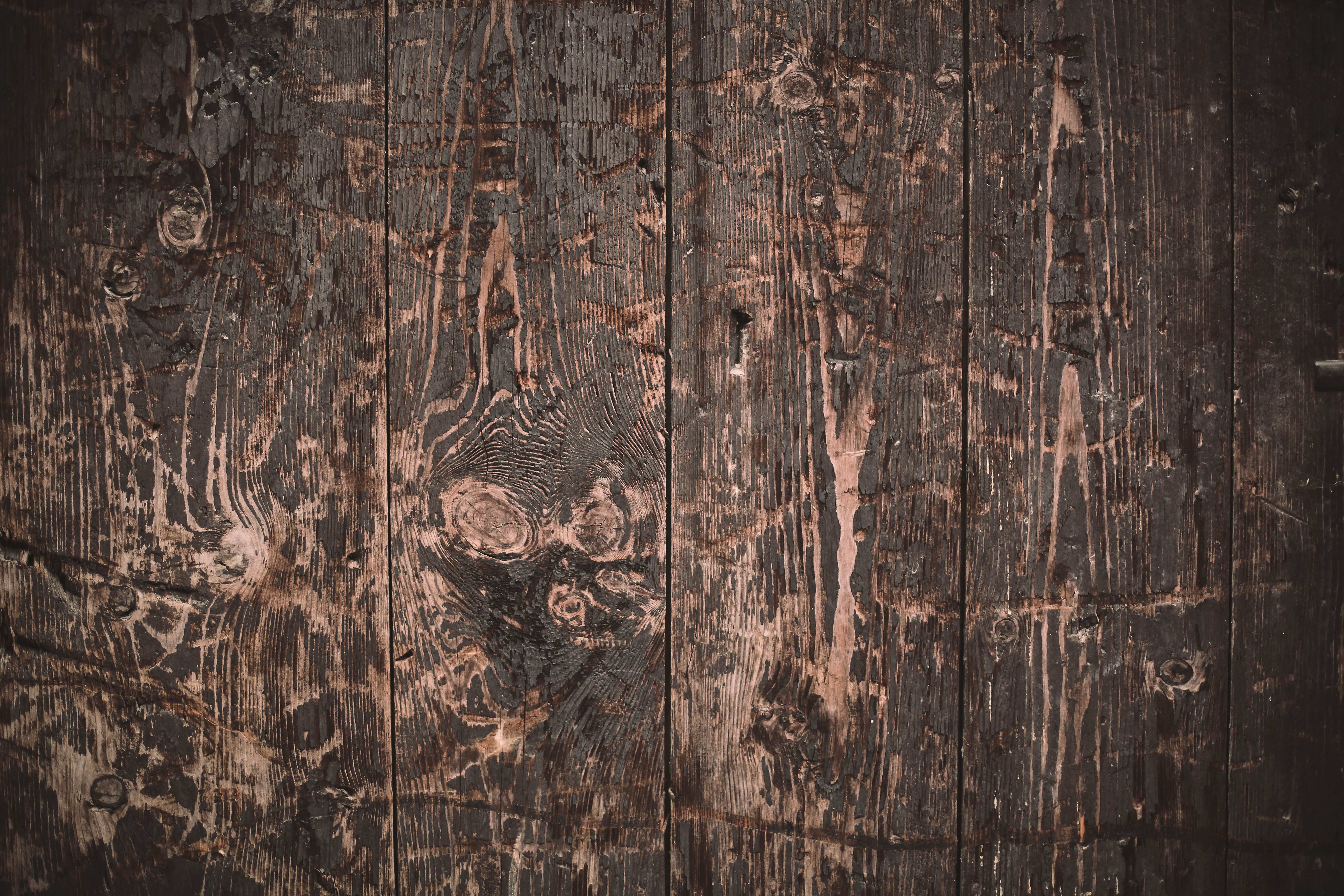 Photo by quadratmedia