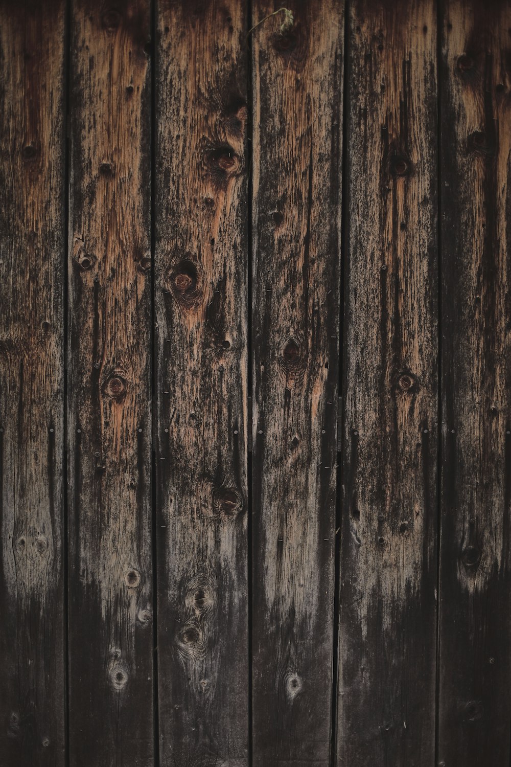 brown wooden fence with white paint