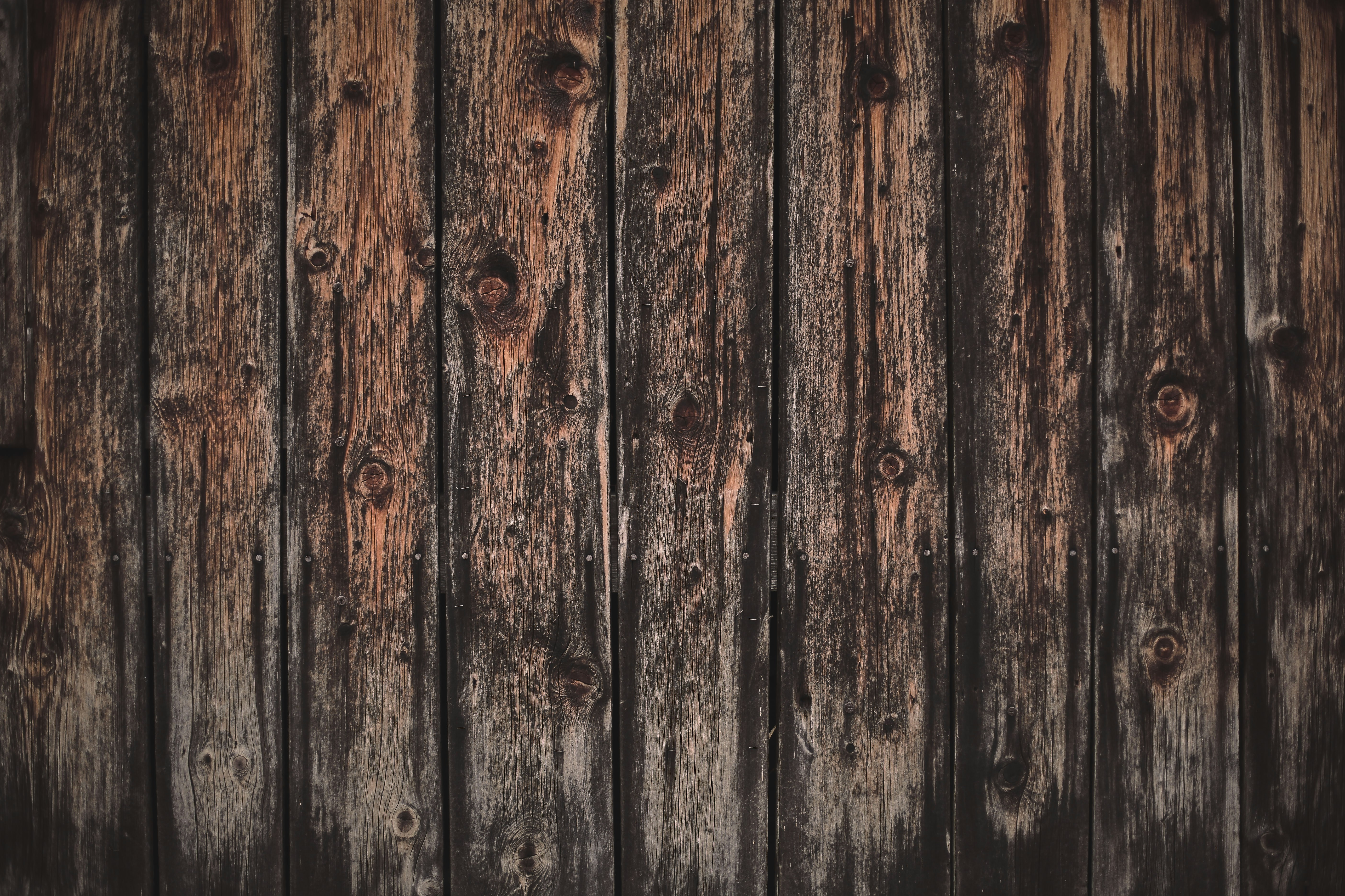 Photo by quadratmedia