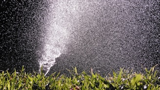A sprinkler releases a fine mist of water, creating a shimmering effect in the sunlight. The scene features lush green grass in the foreground, while the background is a contrasting dark shade, highlighting the water droplets.