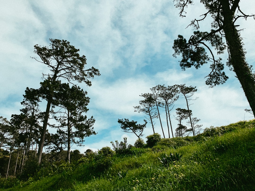 Nature reserve photo spot Praia Grande Castelo dos Mouros