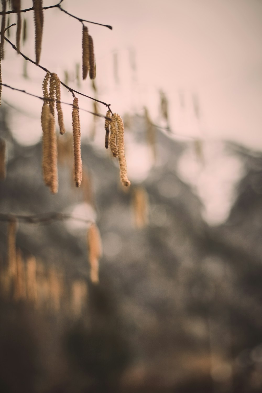 brown rope in tilt shift lens