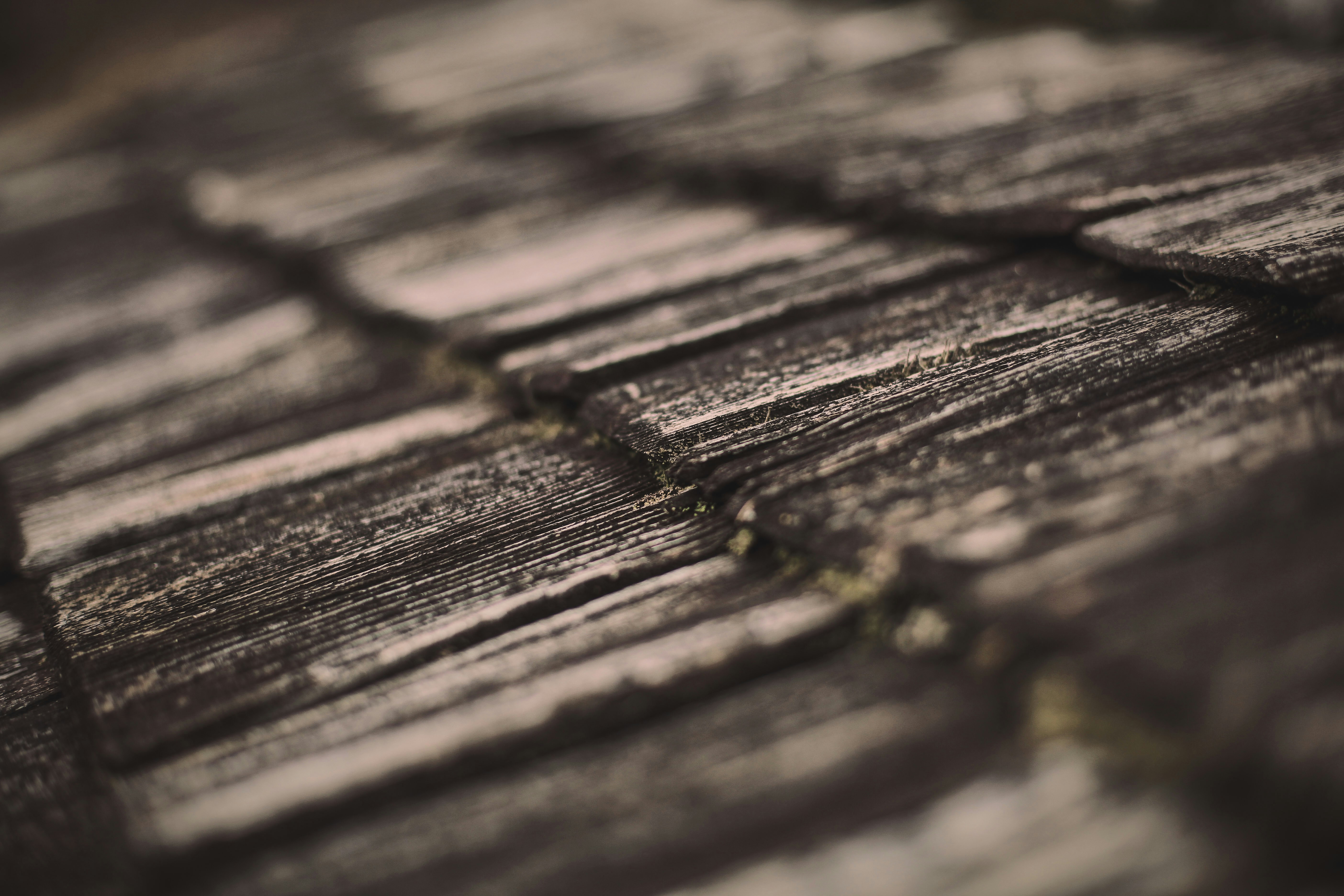 Photo by quadratmedia