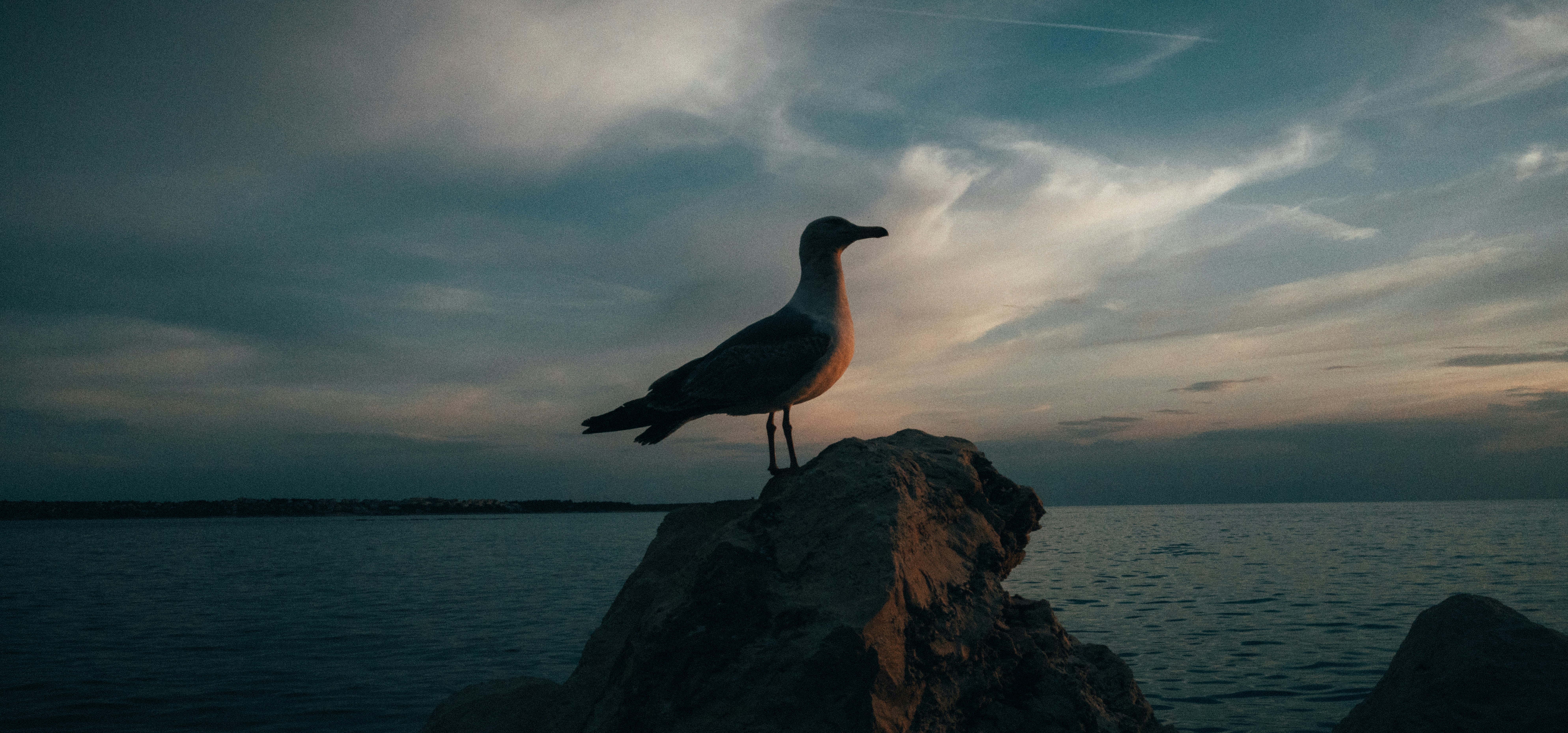Photo by chrisyangchrisfilm