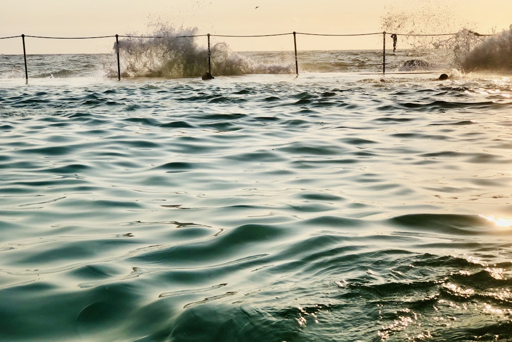 grey metal fence near body of water during daytime