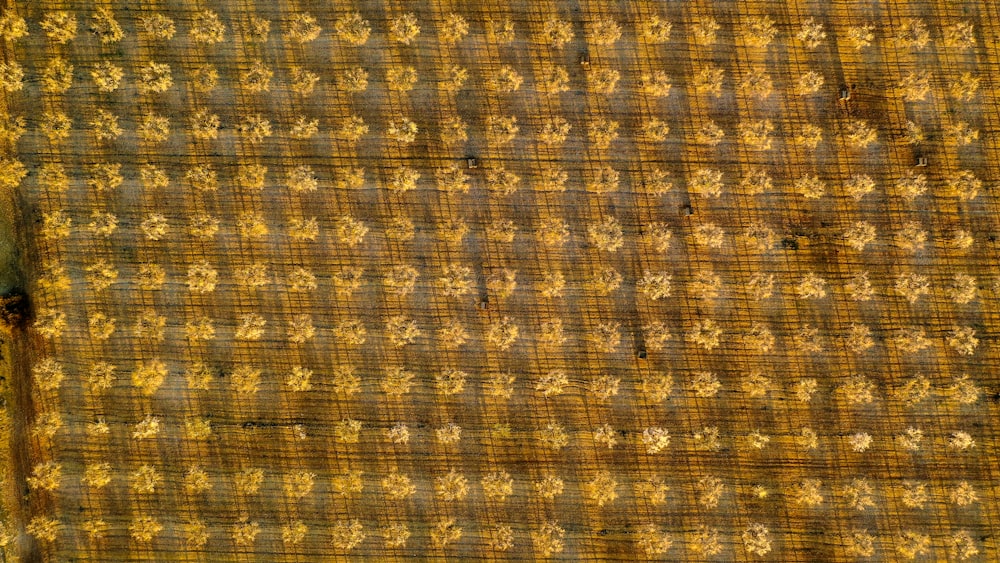 brown and black plaid textile