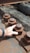 A close-up of a hand touching a large, rusted metal nut and bolt on an industrial structure. The bolts are lined up along a metal beam with a wooden surface beneath them.