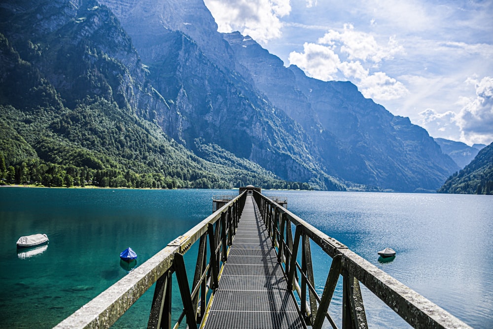 brown wooden bridge over the lake