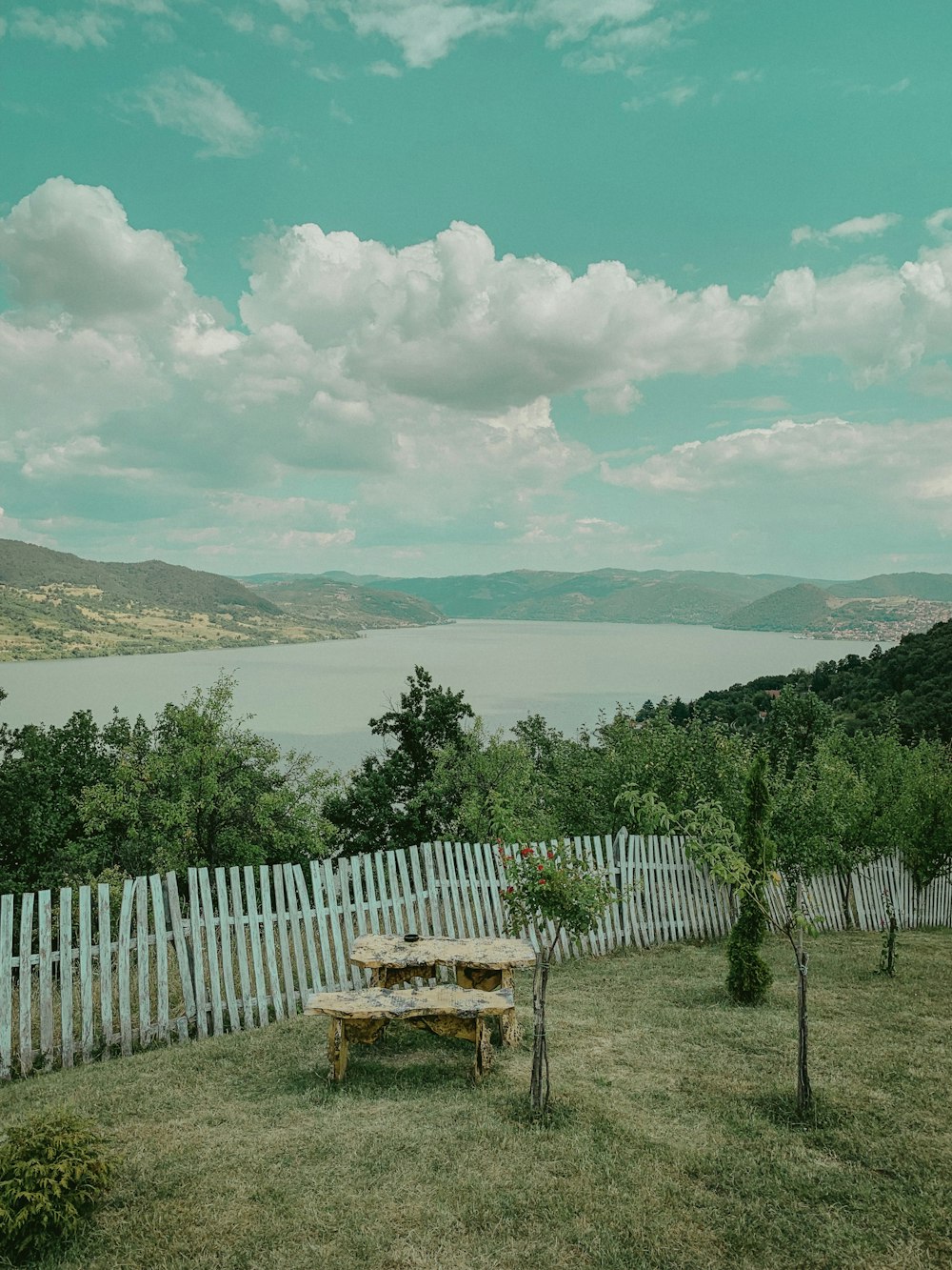 brown wooden bench on green grass field near lake under white clouds and blue sky during