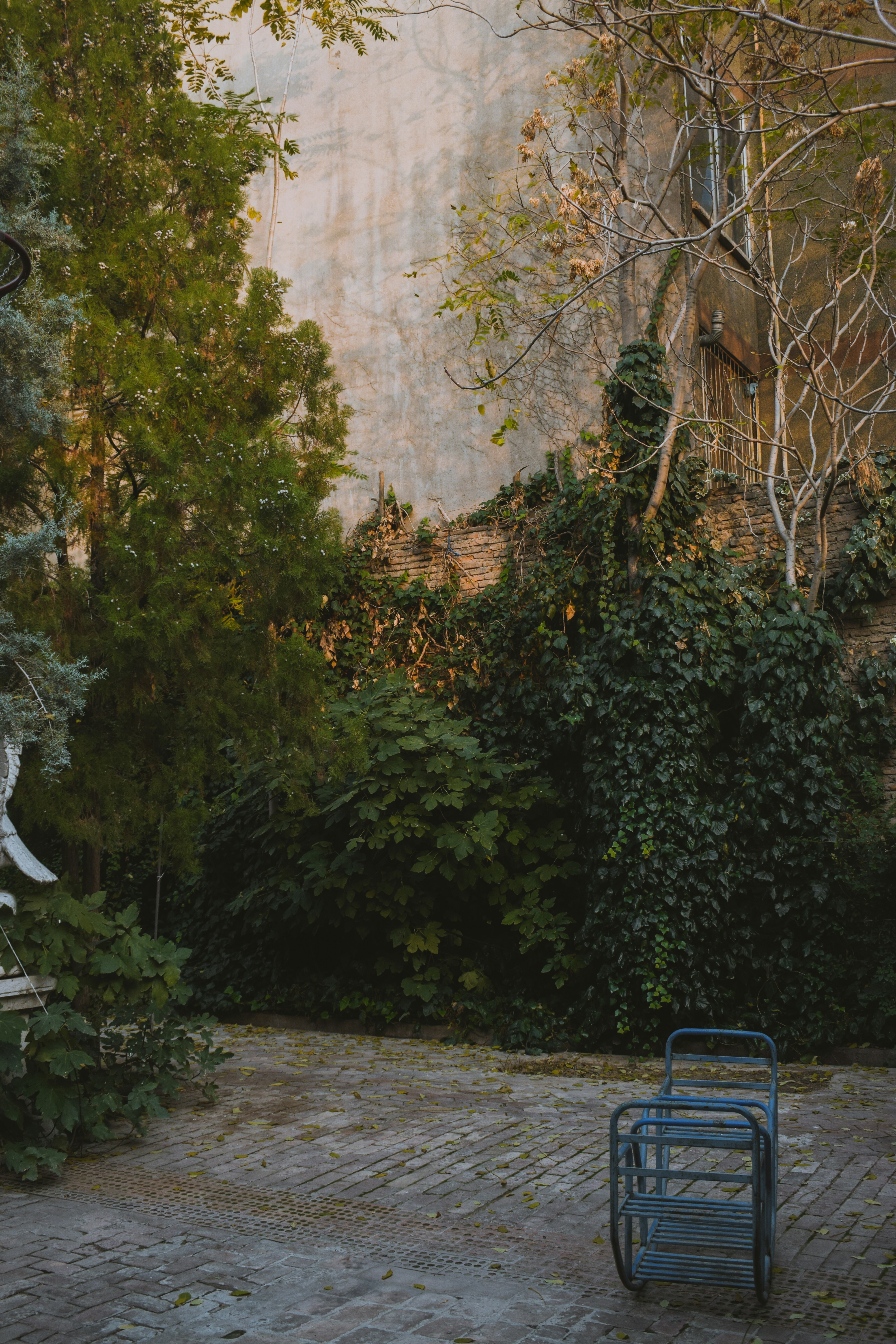 Photo by pouriaoskuie