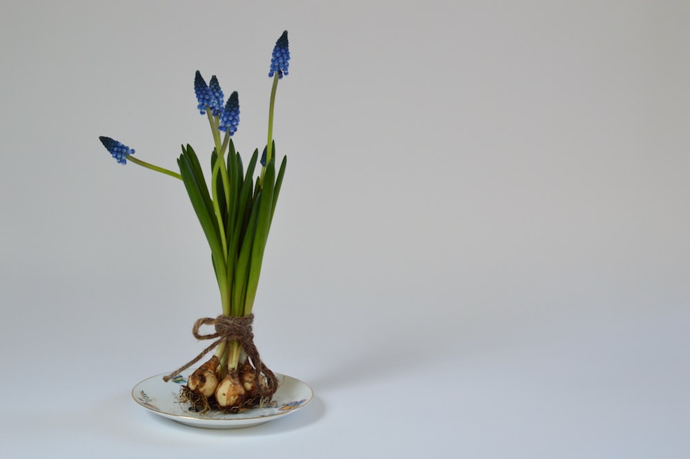 blue flowers in clear glass vase