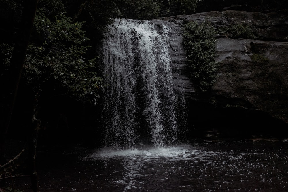 water falls in the middle of the forest