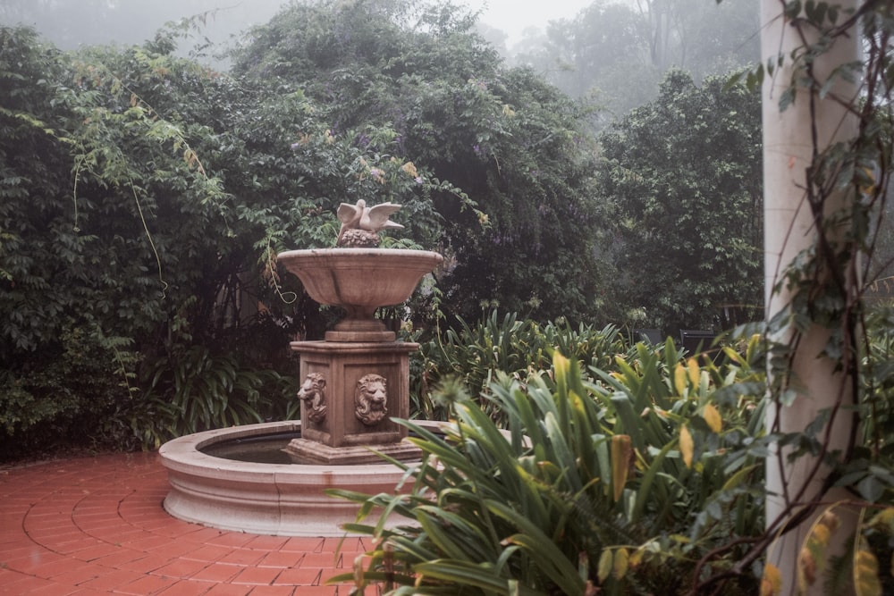 brown concrete outdoor fountain near green trees during daytime