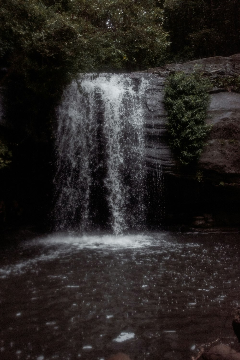 waterfalls in the middle of the forest