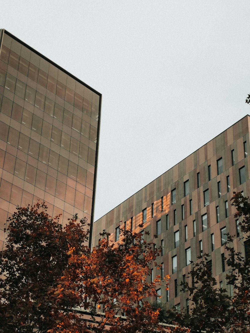 brown concrete building near green trees during daytime