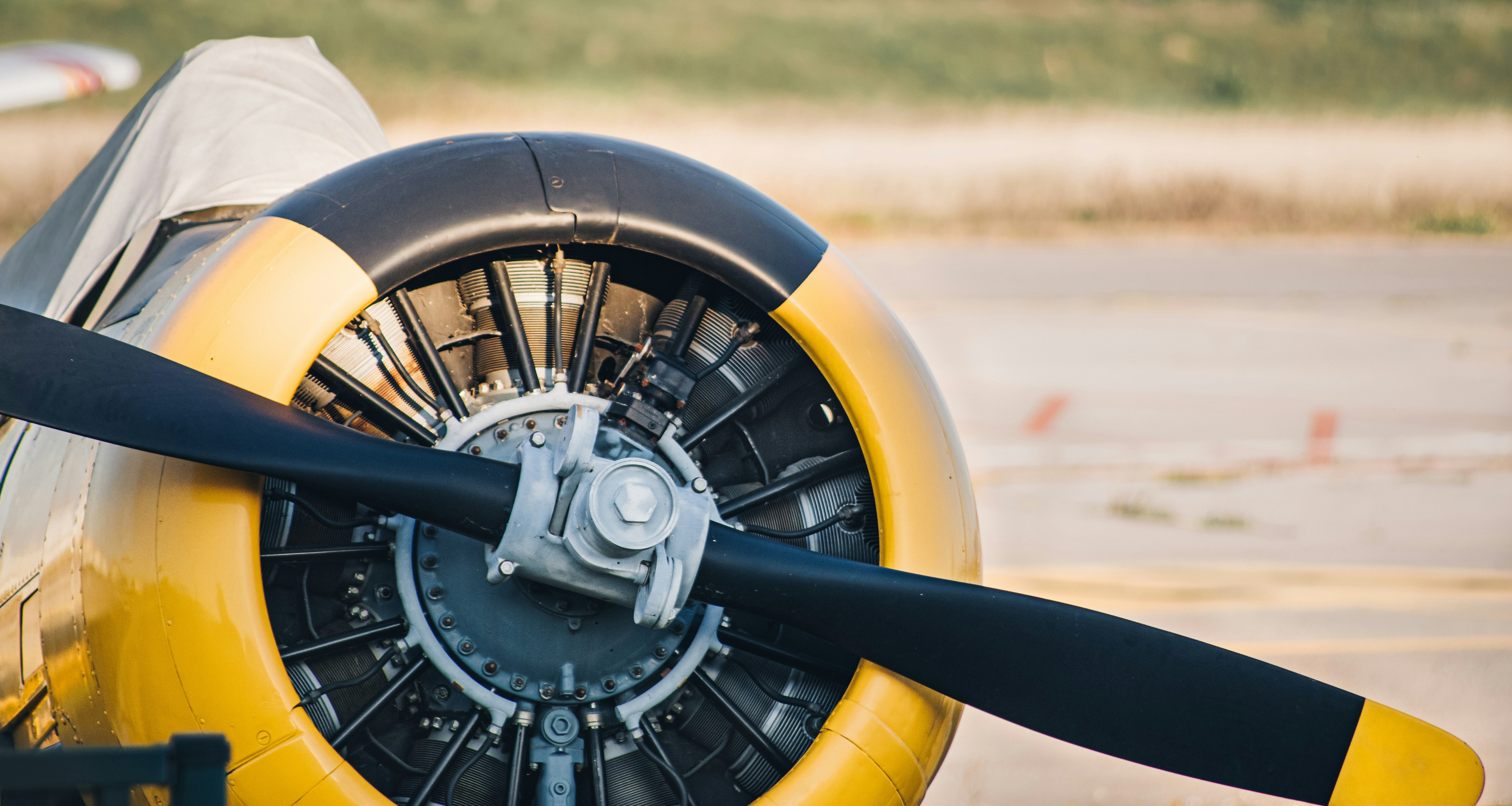 A world where machines can own money