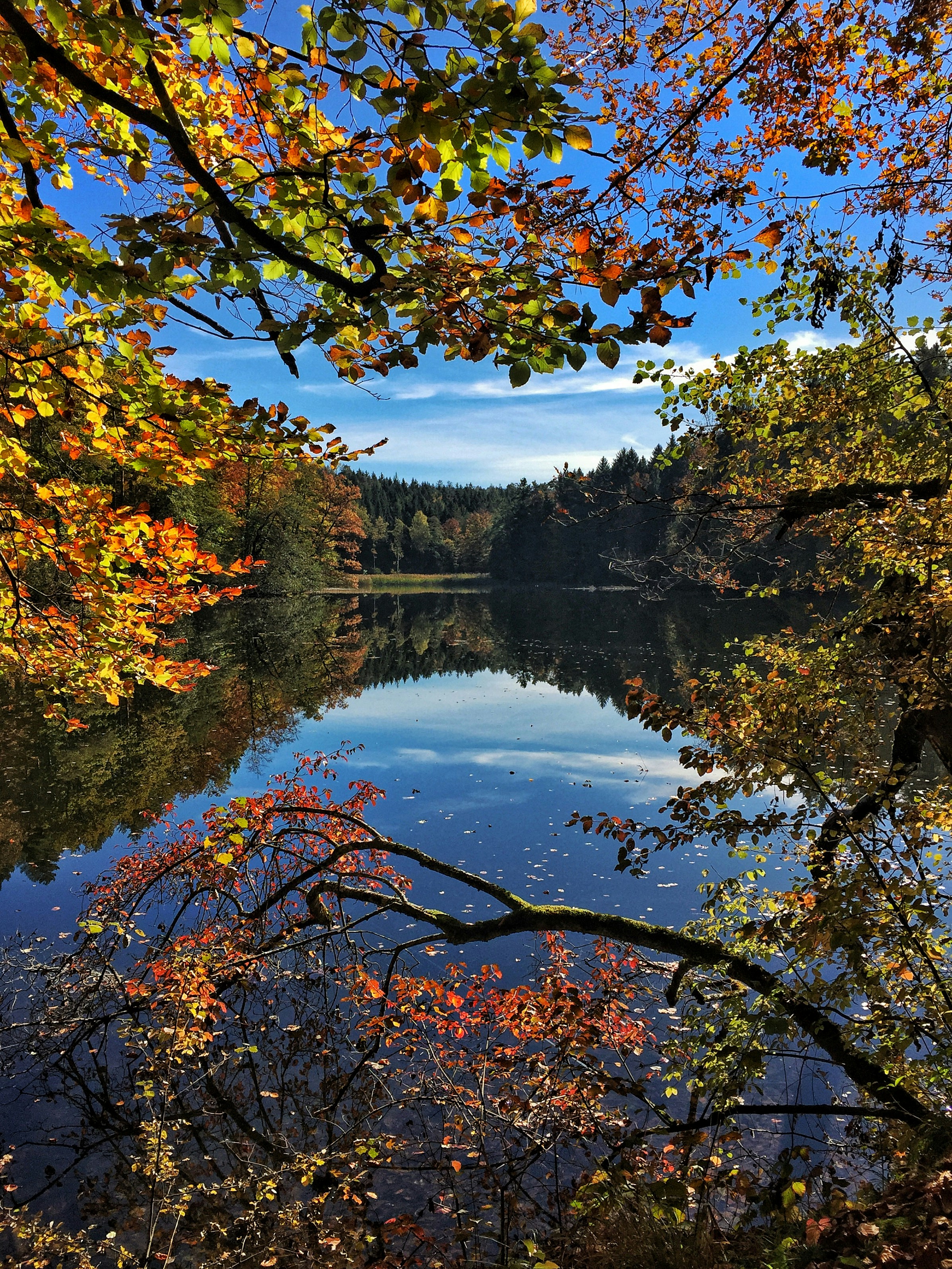 Photo by pedrino5_official