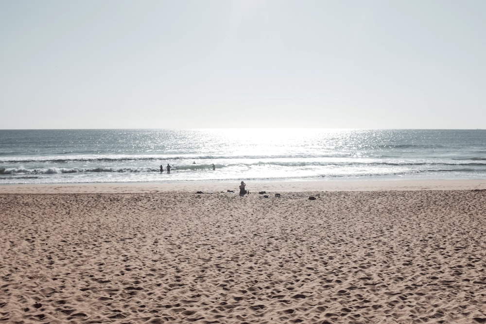 people on beach during daytime