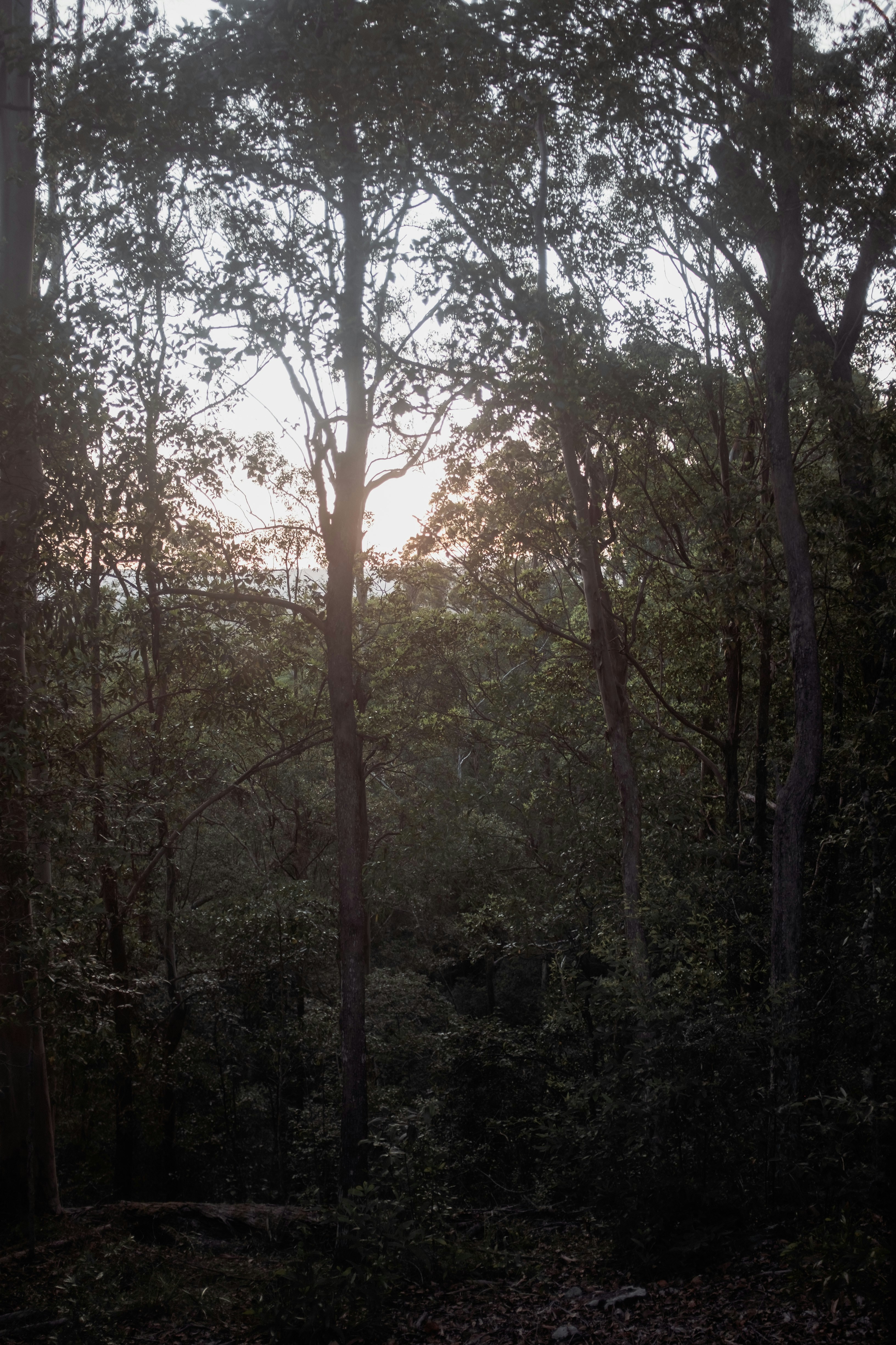 Photo by chazmcgregor