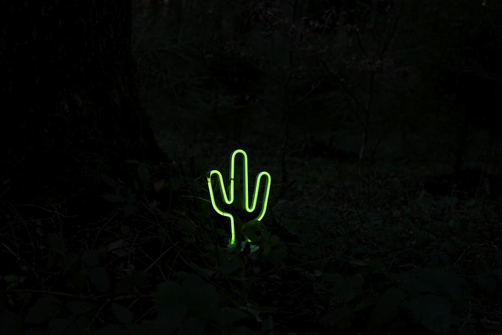 green plant on black soil