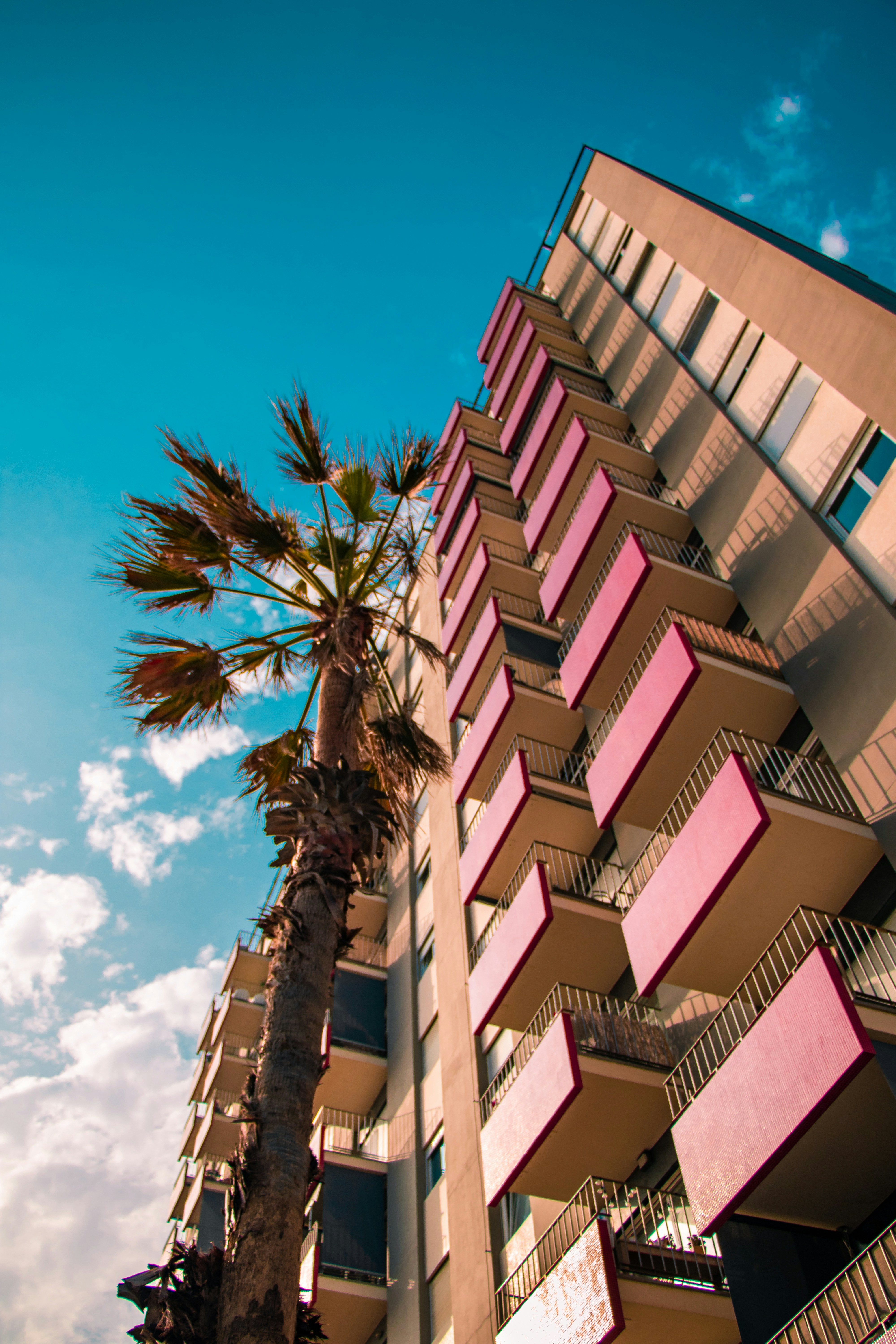 Photo by nik_nikolla_