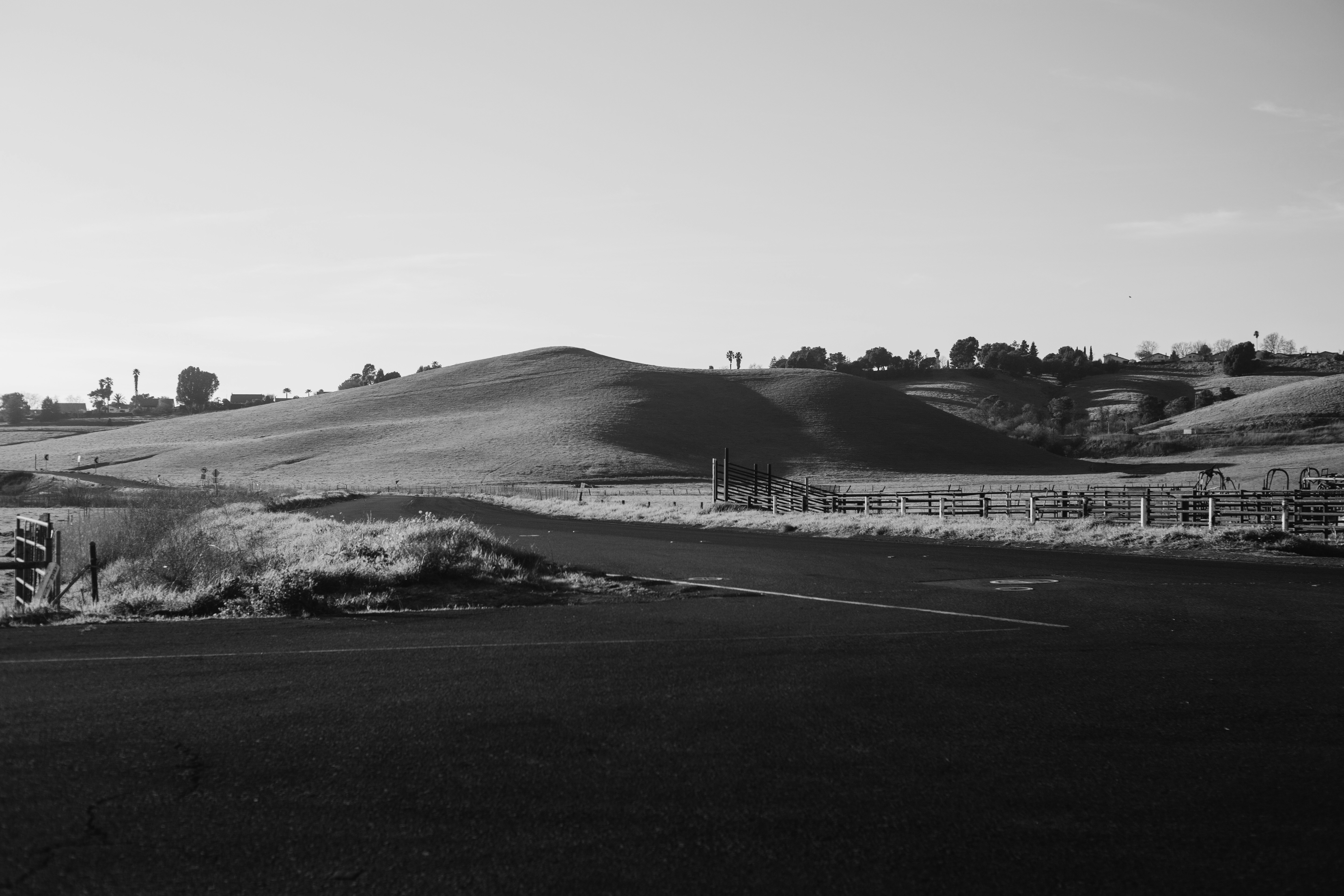 Photo by giorgiotrovato