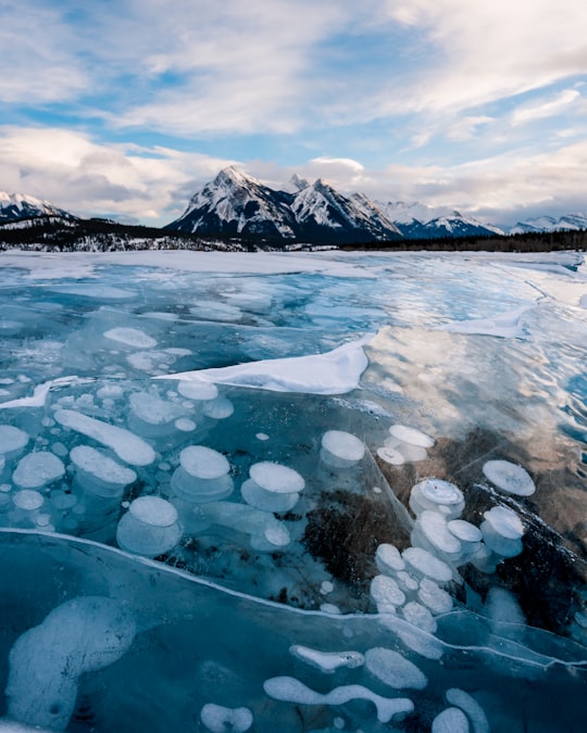 Abraham Lake things to do in Siffleur River