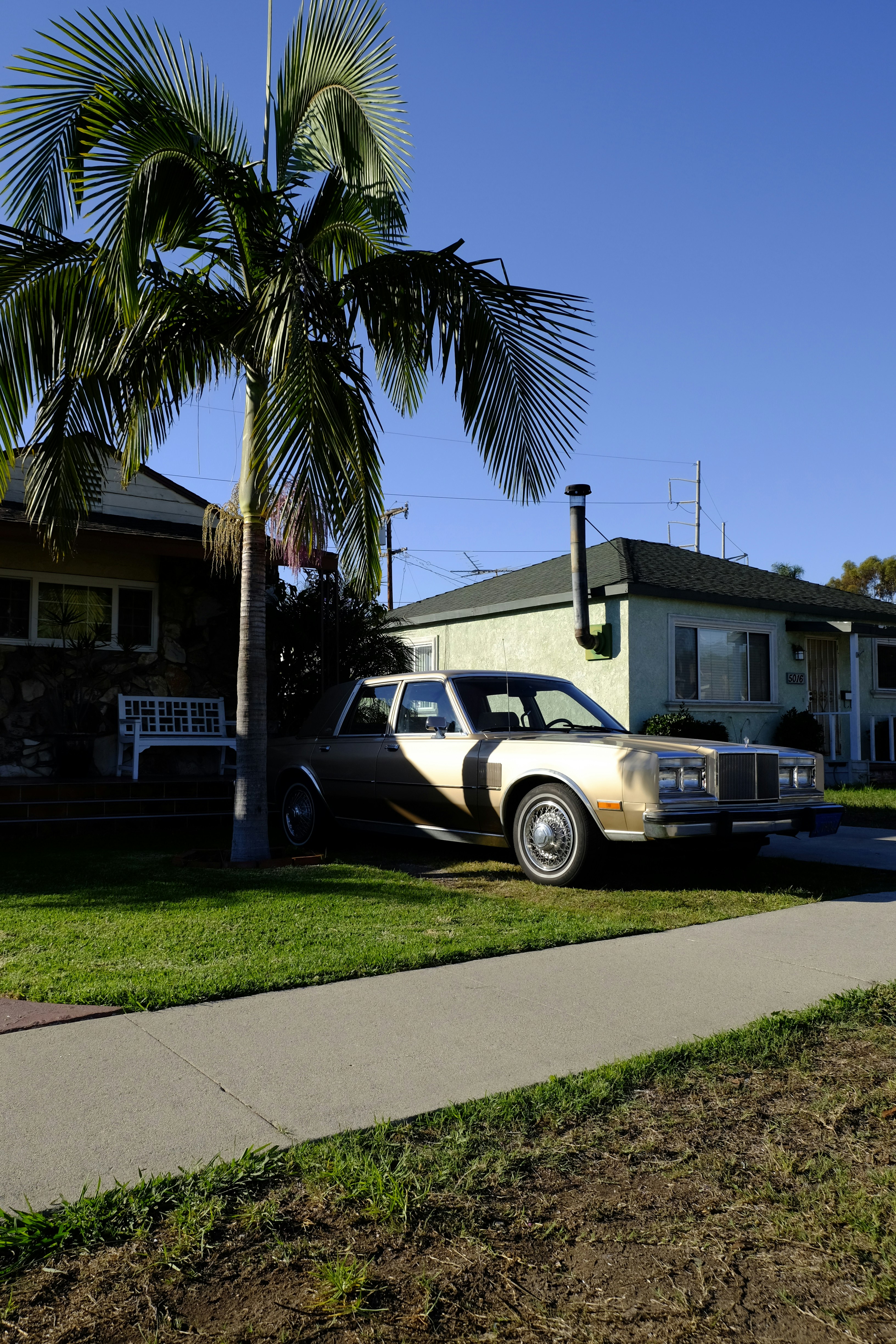 white sedan parked near green palm tree during daytime