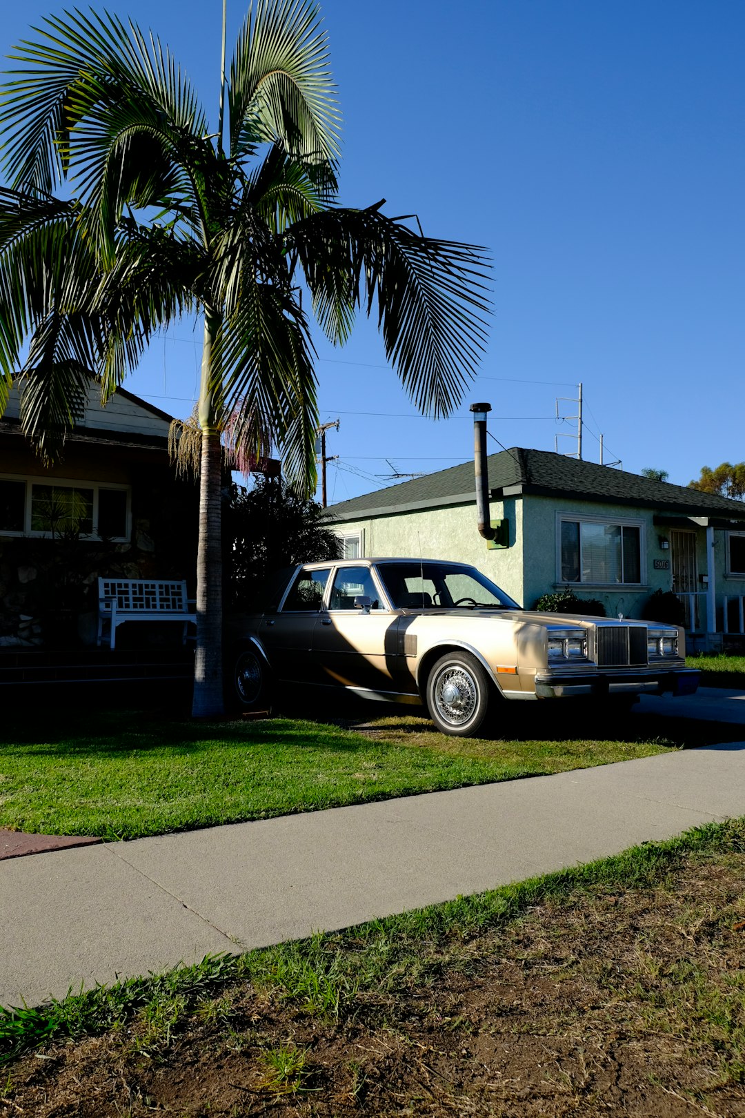 white sedan parked near green palm tree during daytime