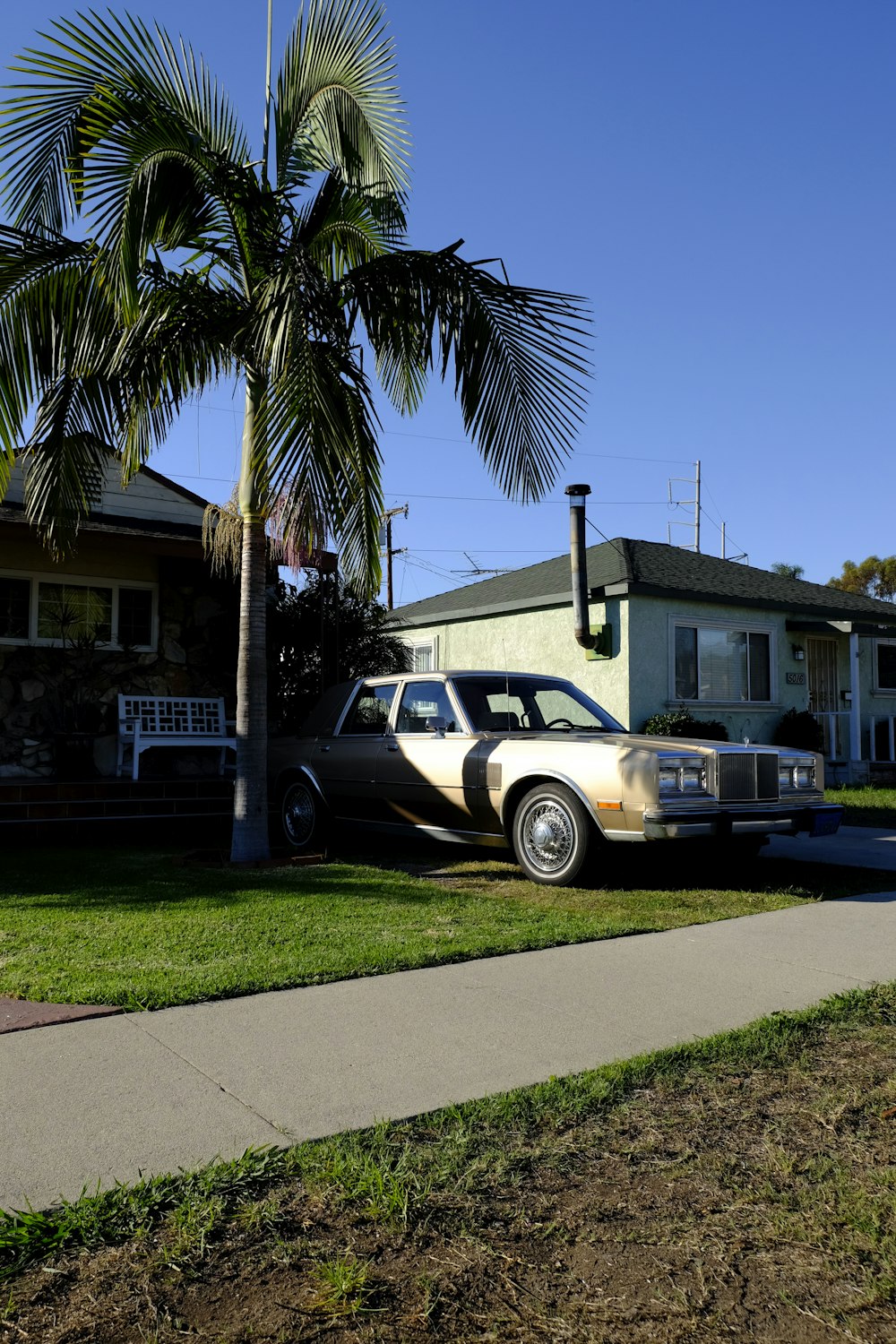 white sedan parked near green palm tree during daytime