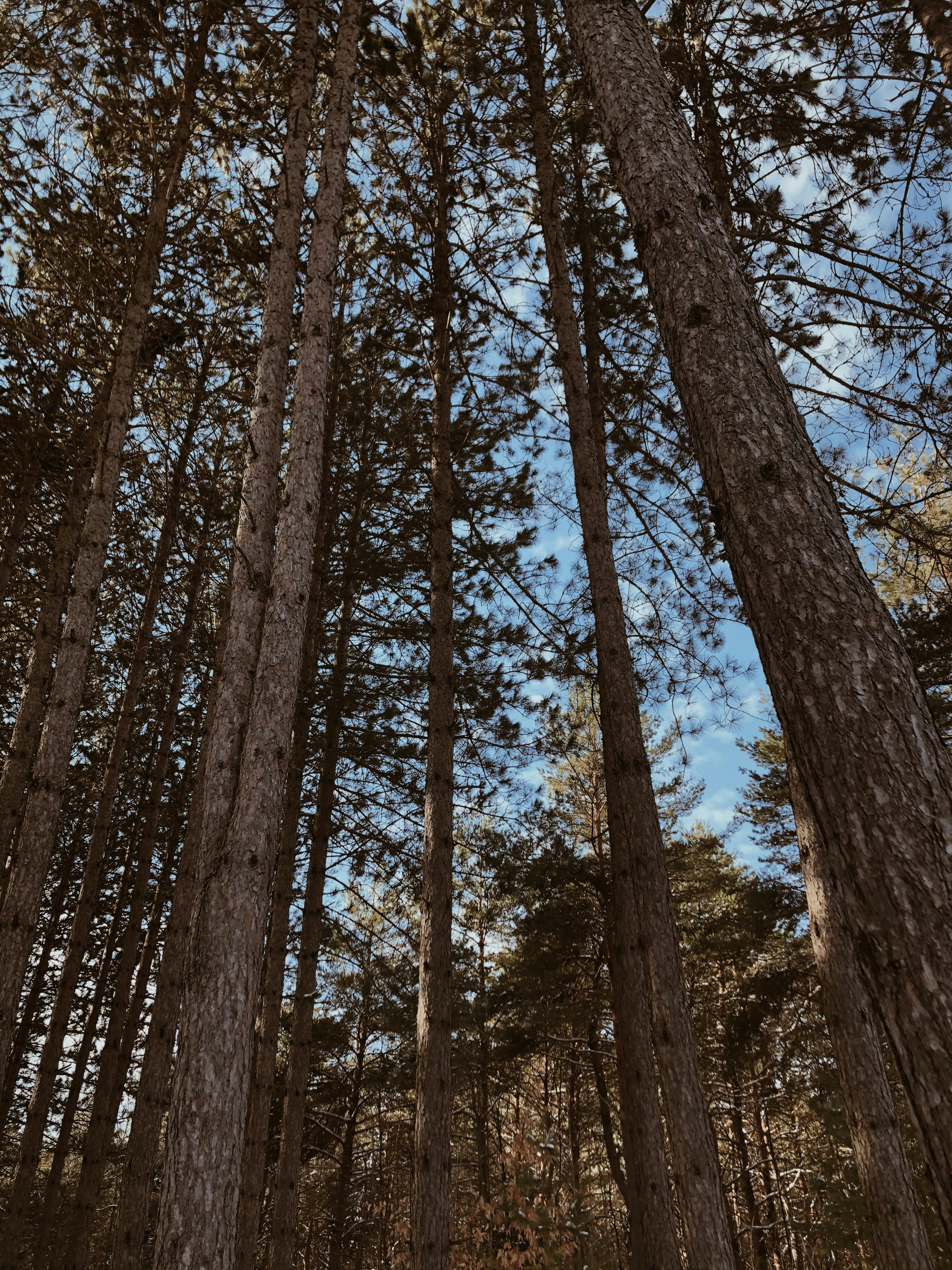 Photo by meganrandalll