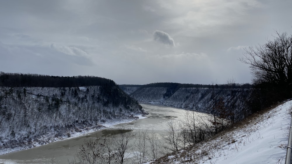 body of water between trees under cloudy sky during daytime