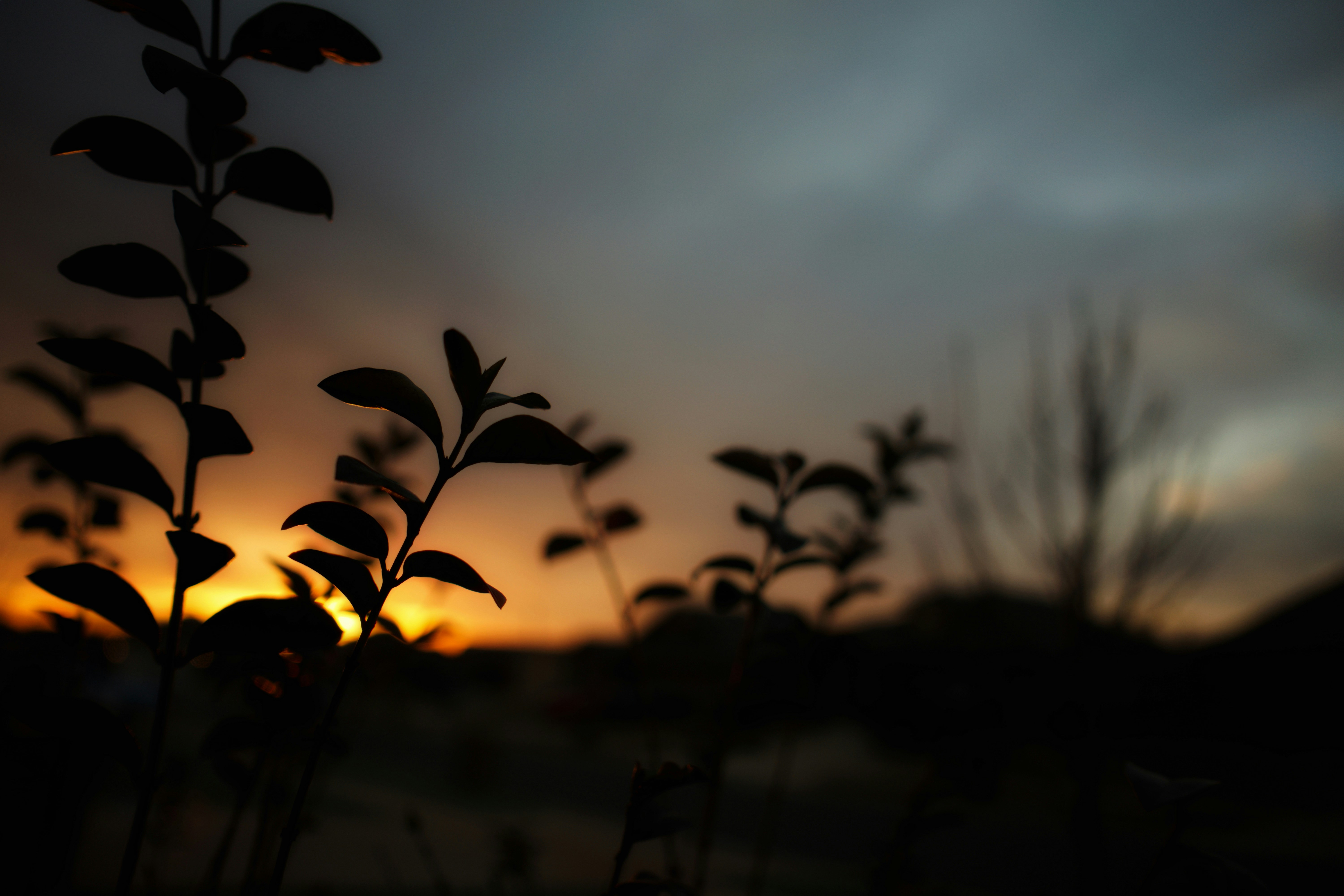 Photo by seventysixstories