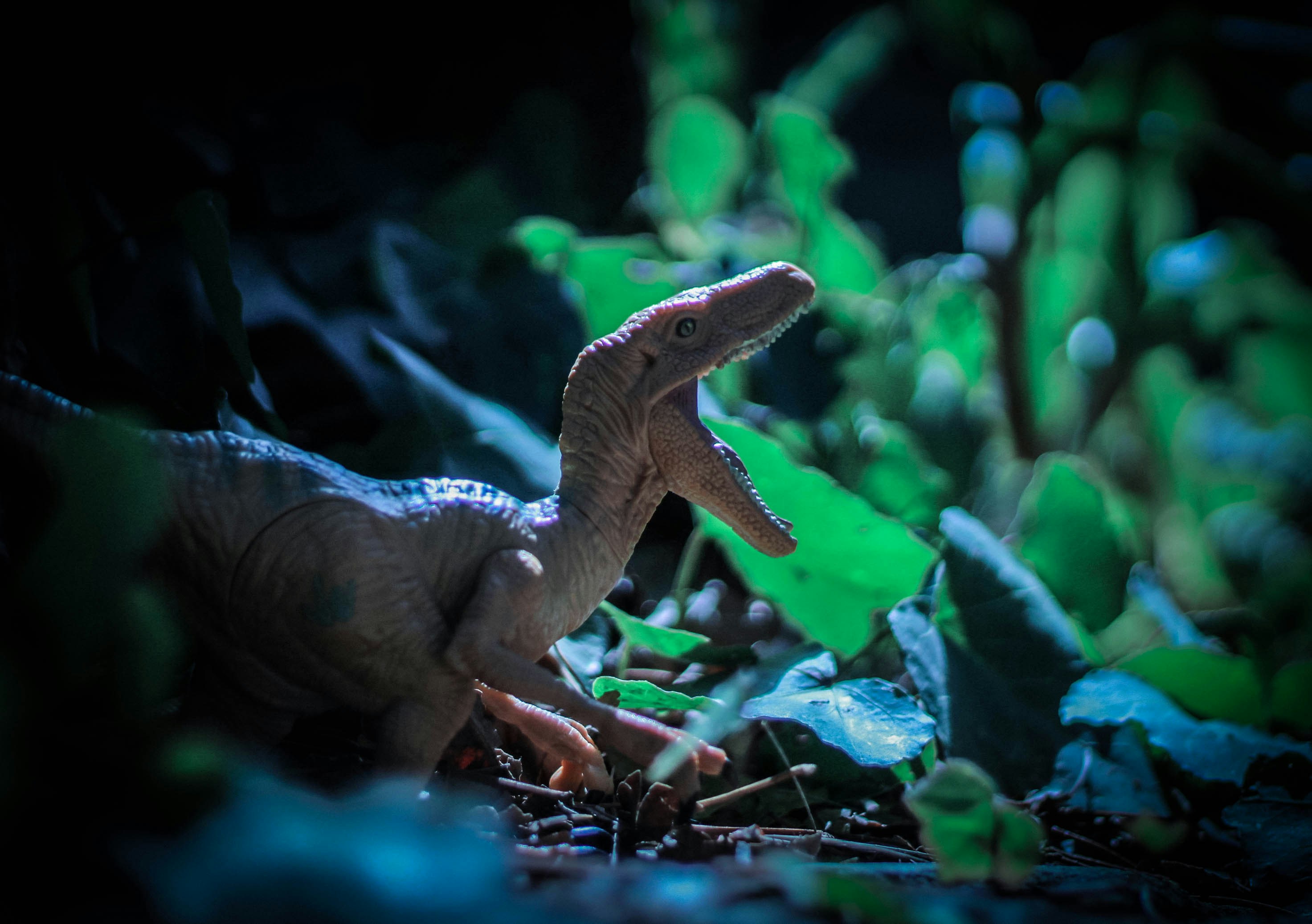 close-up dinosaurus mainan di rumput