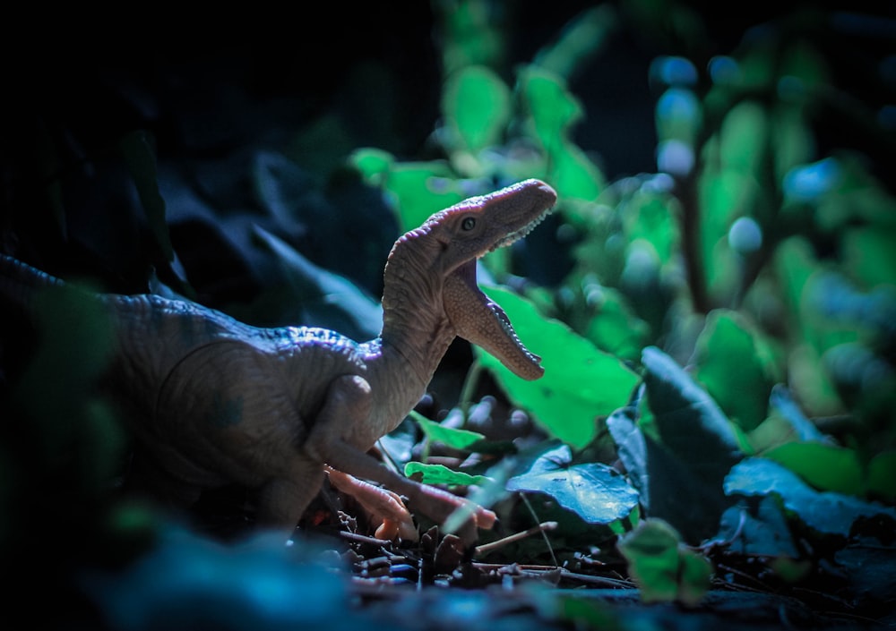 a close up of a toy dinosaur in the grass