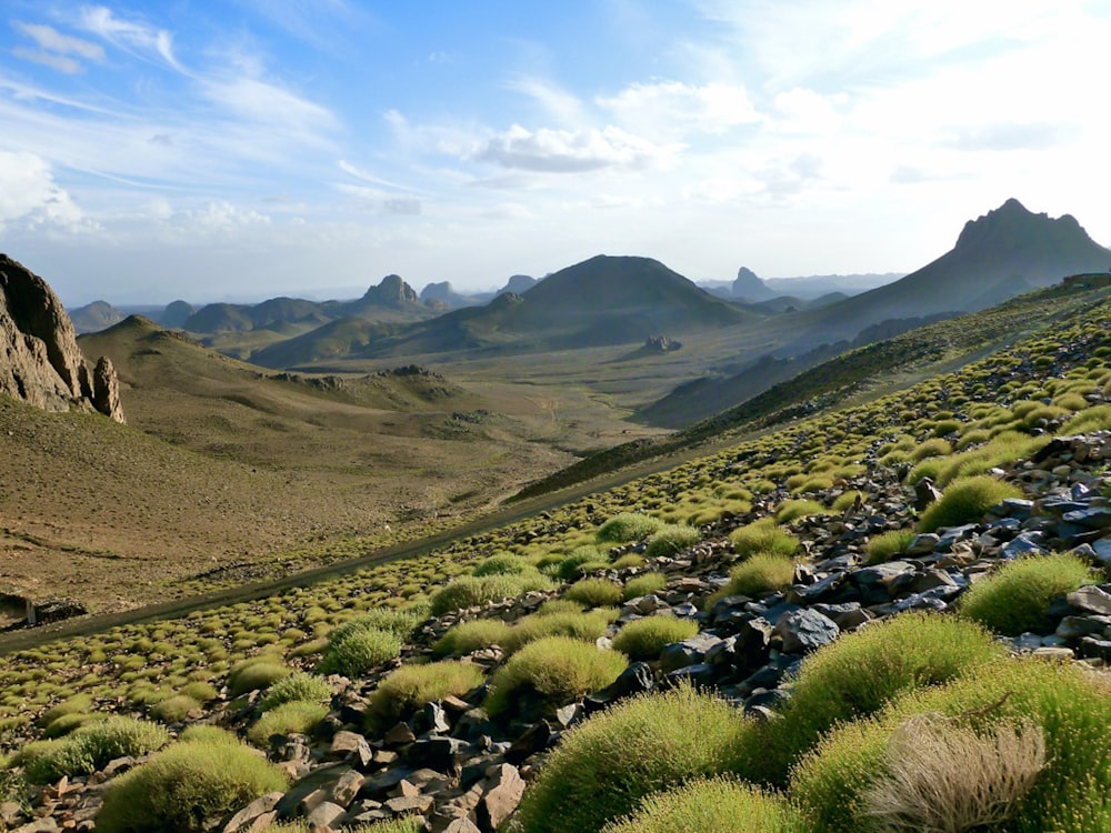 campo di erba verde e montagne durante il giorno