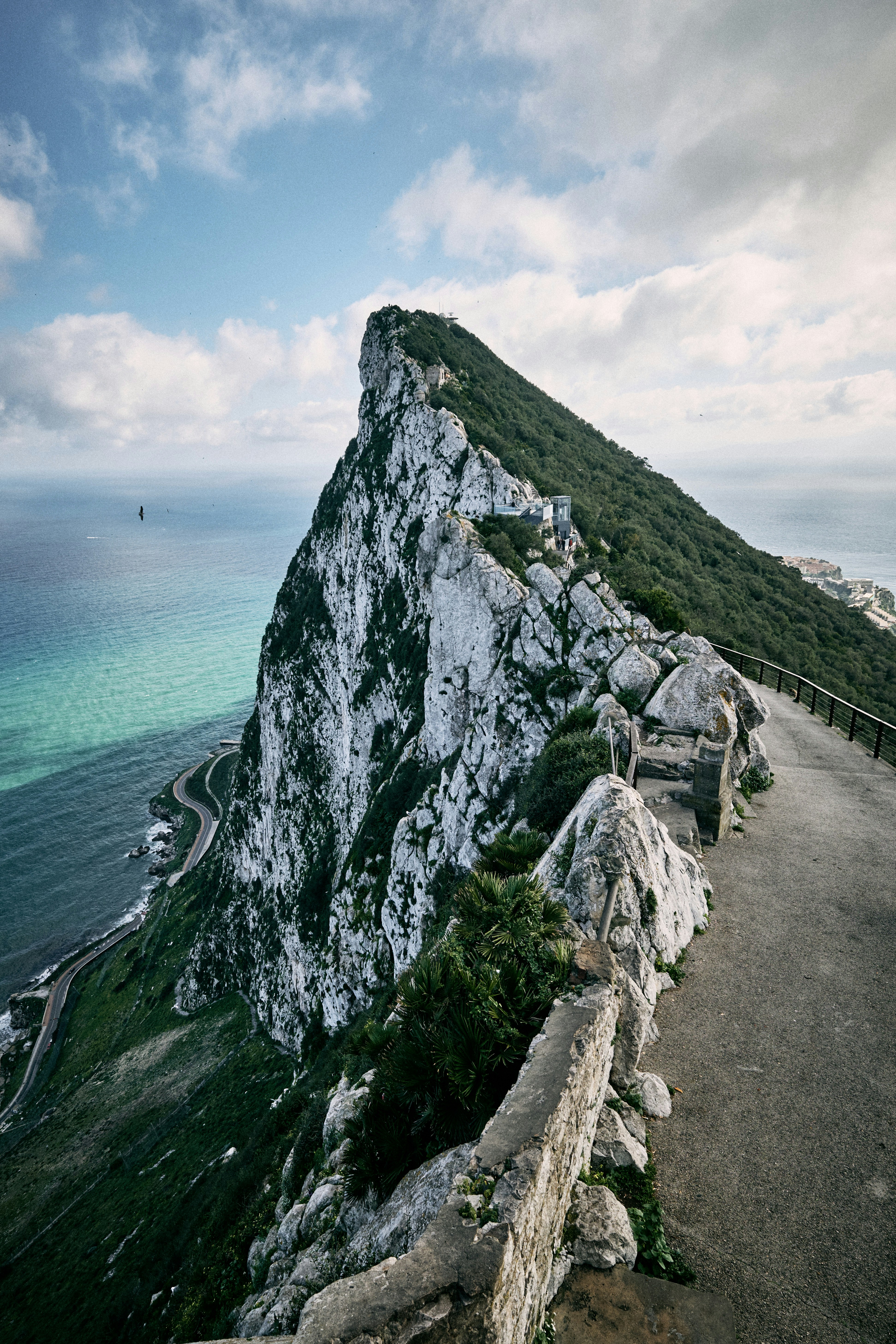 green and gray rock formation near body of water during daytime
