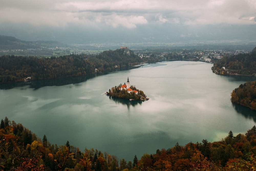 aerial view of green trees and lake during daytime