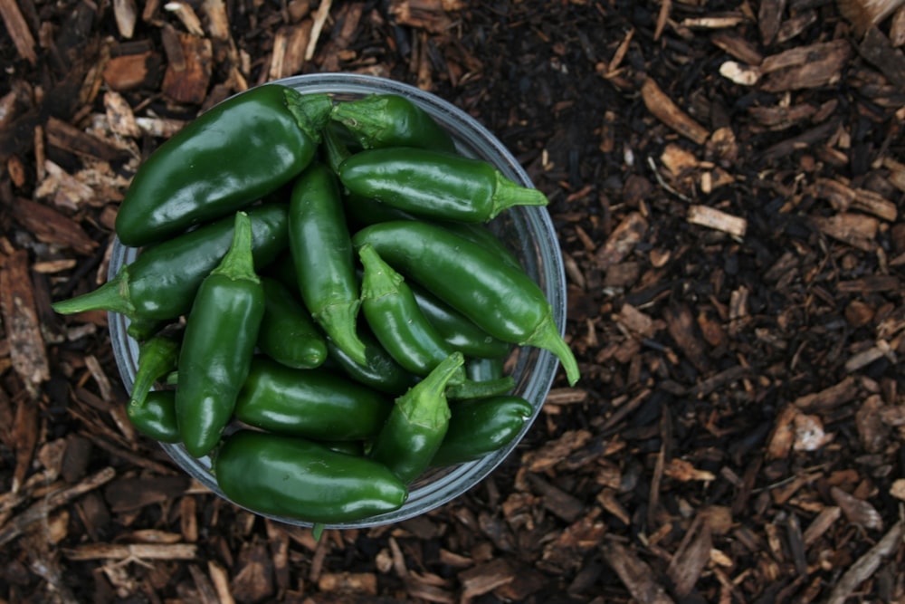 green chili peppers on brown soil