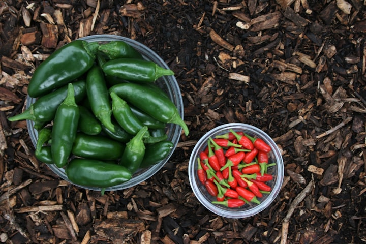 Spice Up Your Life With Jalapenos!