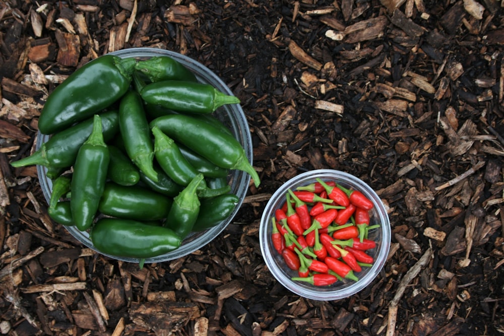 green and red chili peppers on white ceramic bowl
