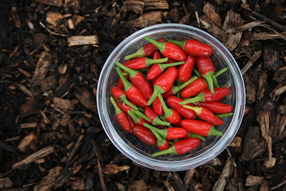 red chili peppers in clear glass bowl